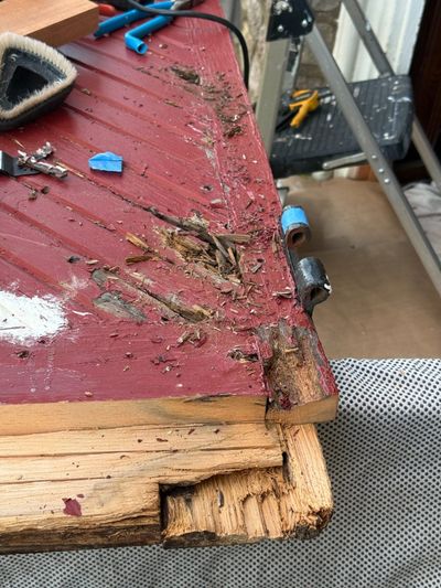 Door on workbench with rot being excavated from bottom rail — Blue Bell PA